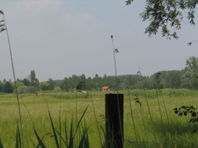 Moerzeke - Bosschaertstreek omgeving