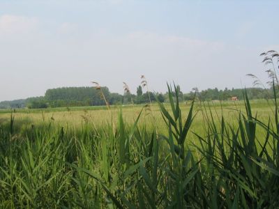 Moerzeke - Bosschaertstreek omgeving